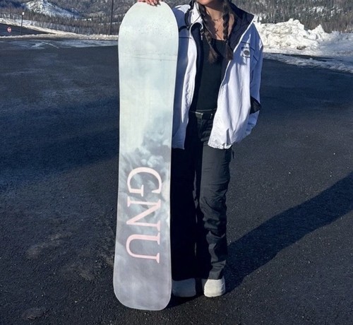 Gnu frosting snowboard - snowboard, w/